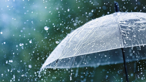 Rain alert: ਪੰਜਾਬ ਸਮੇਤ ਇਨ੍ਹਾਂ ਸੂਬਿਆਂ 'ਚ ਮੀਂਹ ਦੀ ਭਵਿੱਖਬਾਣੀ