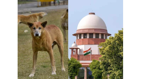 BIG BREAKING: ਸੁਪਰੀਮ ਕੋਰਟ ਦਾ ਵ