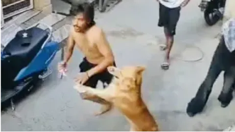 ਕੁੱਤੇ ਨੇ ਬਚਾਈ ਨੌਜਵਾਨ ਦੀ ਜਾਨ: ਗ