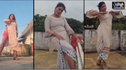 16 ਲੱਖ ਫਾਲੋਅਰਜ਼ ਵਾਲੀ ਇਨਫਲੂਐਂਸਰ
