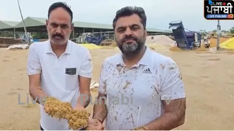ਮੰਡੀ ਦੇ ਹਾਲਾਤ ਦੇਖ ਕੇ ਆ ਜਾਵੇਗਾ